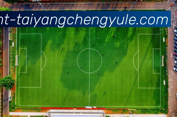 奖项3